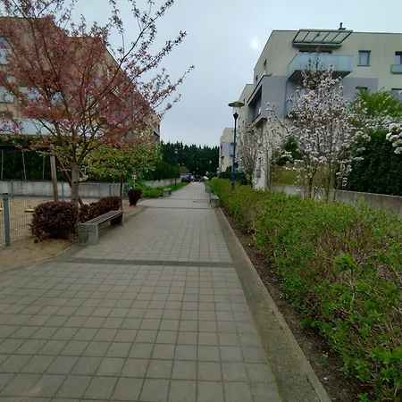 1e 什切青